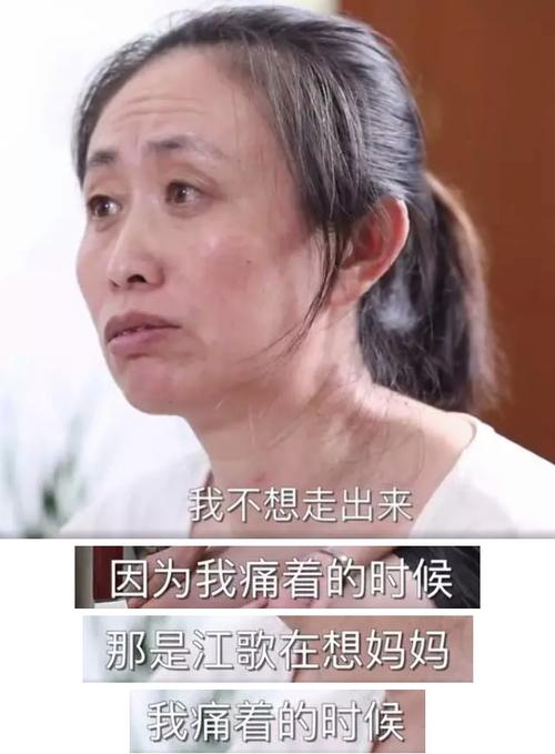 如何评价江歌的母亲「江歌妈妈诈捐」 家电玻璃